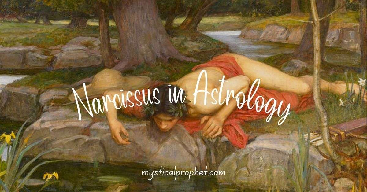 Narcissus Meaning in Astrology