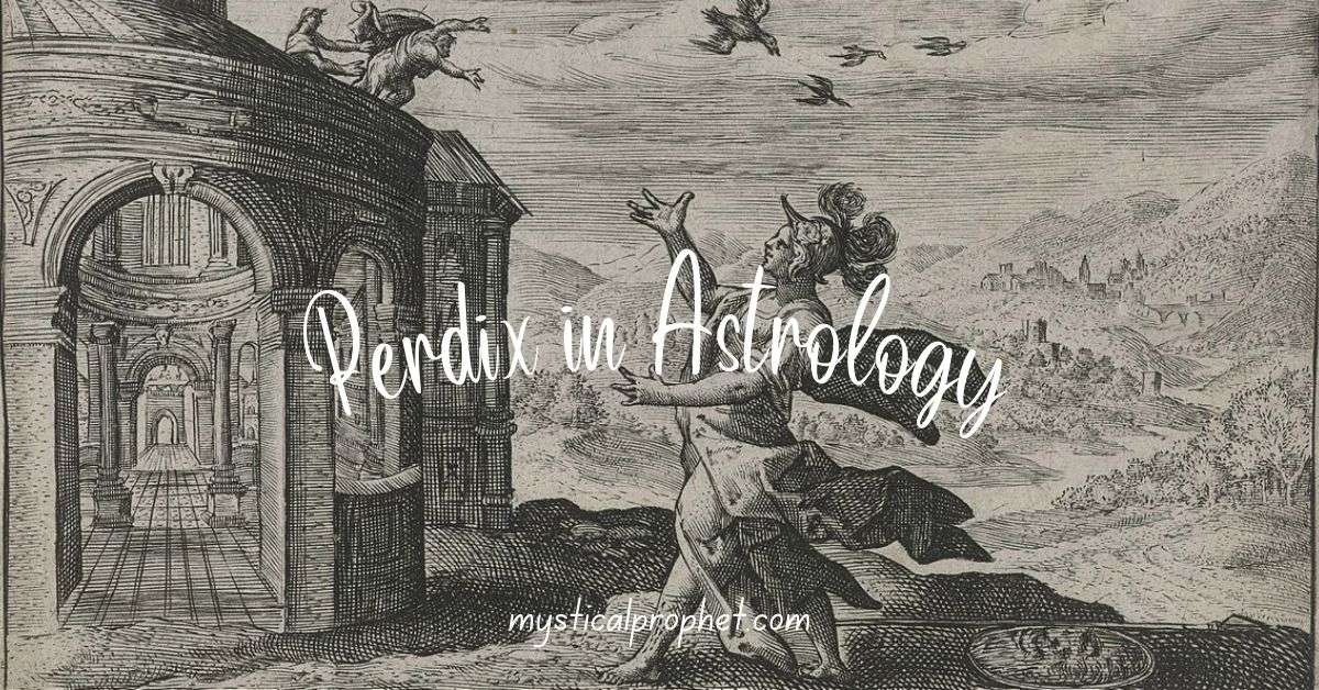 Perdix Meaning in Astrology
